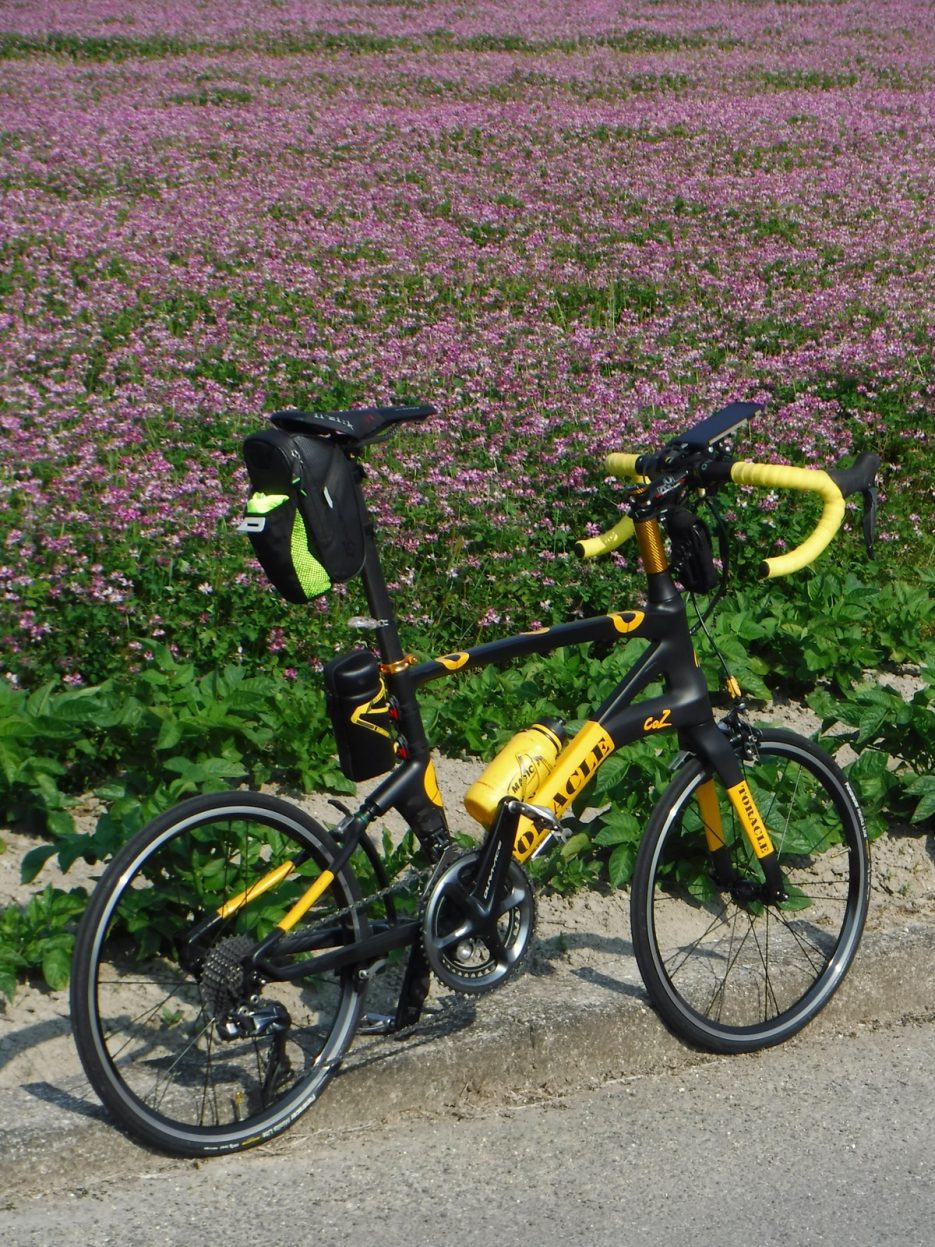 南河内 グリーン ロード 自転車